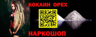 крисы Будённовск