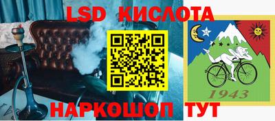 крисы Будённовск