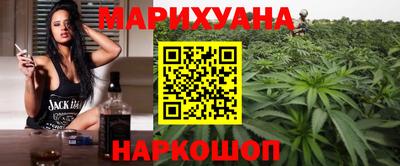 крисы Будённовск