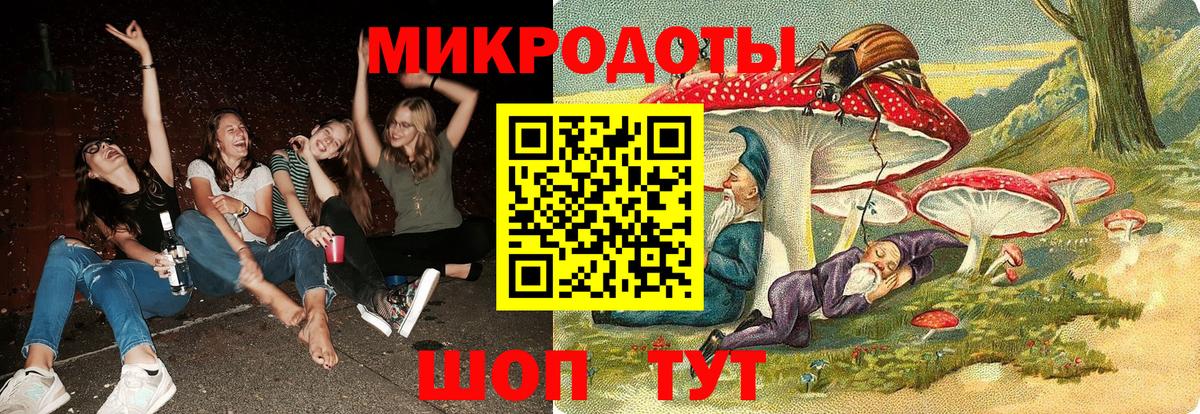 Псилоцибиновые грибы GOLDEN TEACHER Новочебоксарск