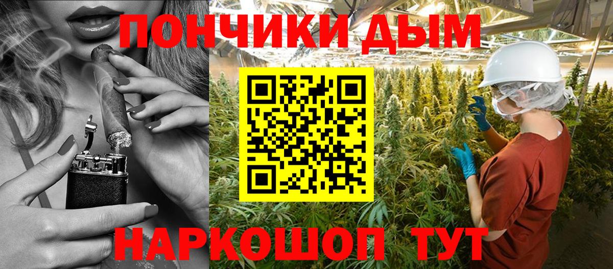 Шишки марихуана семена Новочебоксарск